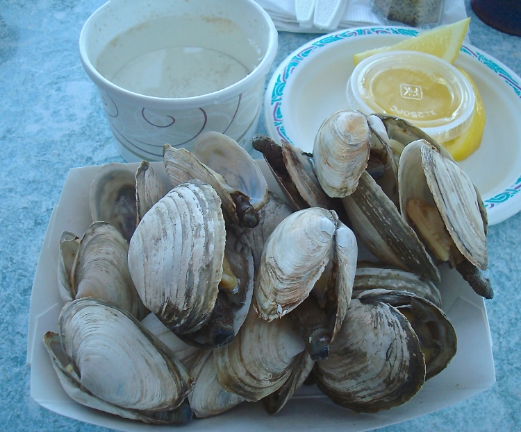 Steamers (Clams)