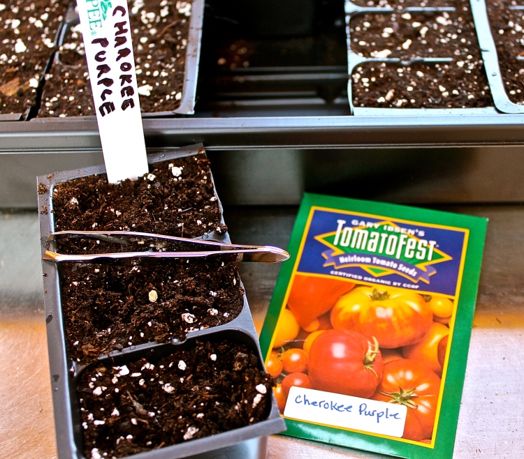Tweezers Help When Planting Tiny Seeds