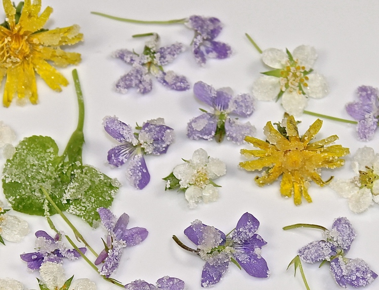 Candied Wildflowers