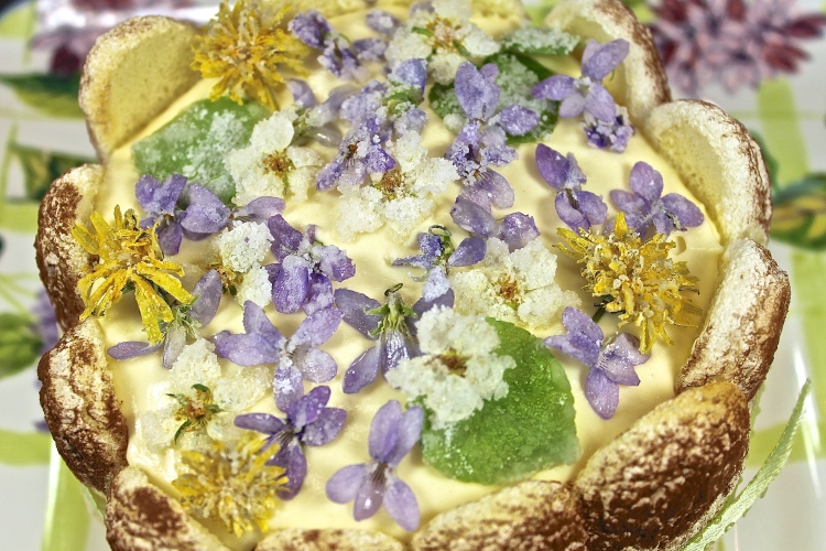 Tiramisu Decorated With Candied Flowers For A Special Occasion