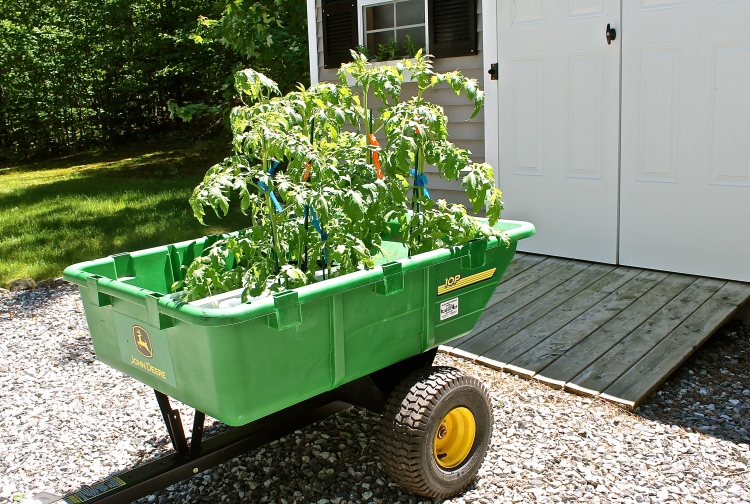 John Deere Wagon Used As  A Rolling Green House
