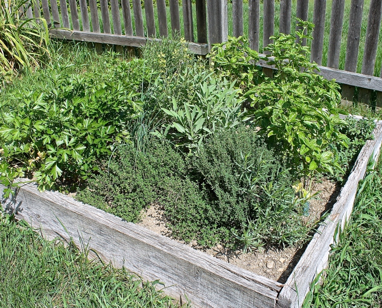 Herb Box Planted With Parsley, Sage, Rosemary, Thyme, Tarragon And Basil