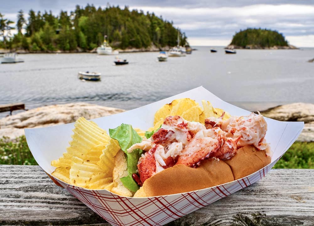 maine lobster roll